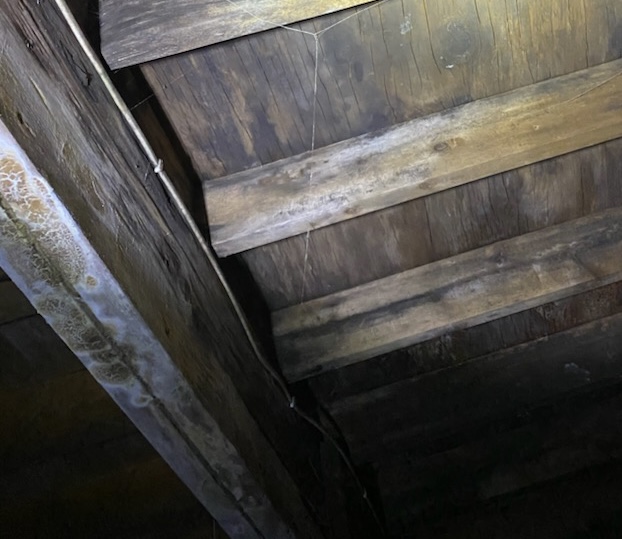 crawl-space-mold-treatment