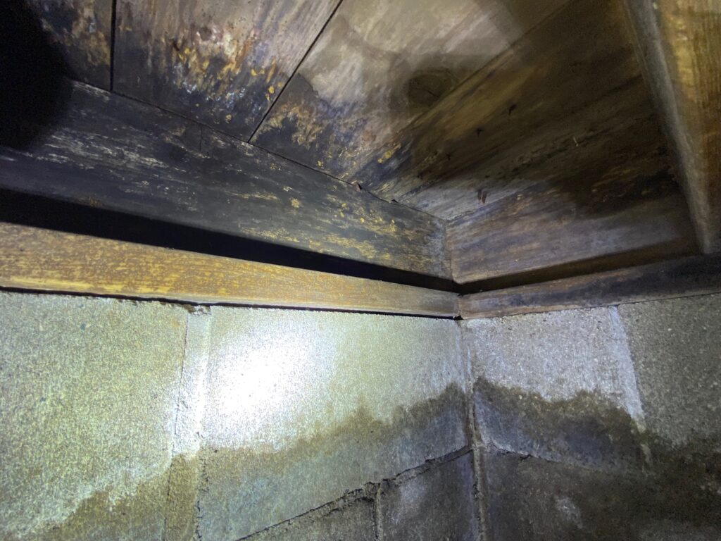 crawl-space-mold-treatment